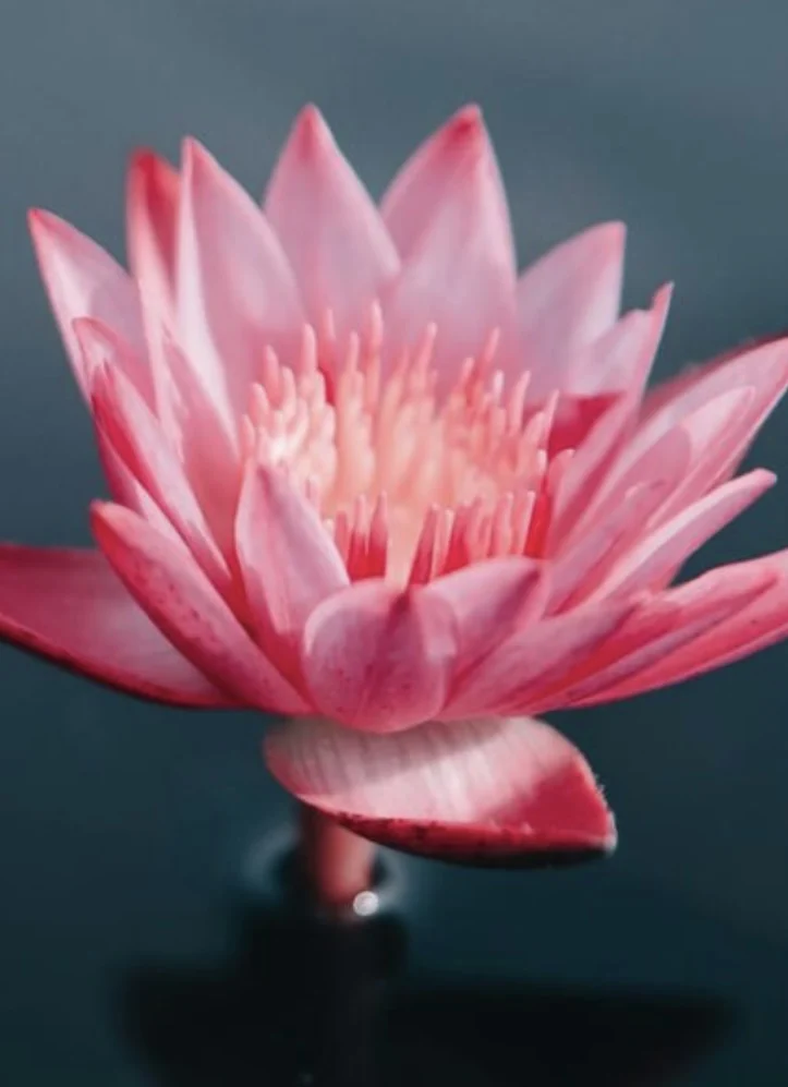 Dott. Alberto De Giorgi, Psicoterapia individuale e di coppia, Mindfulness, EMDR, Sensomotoria, DBR, EFT, IFS, Flash T.