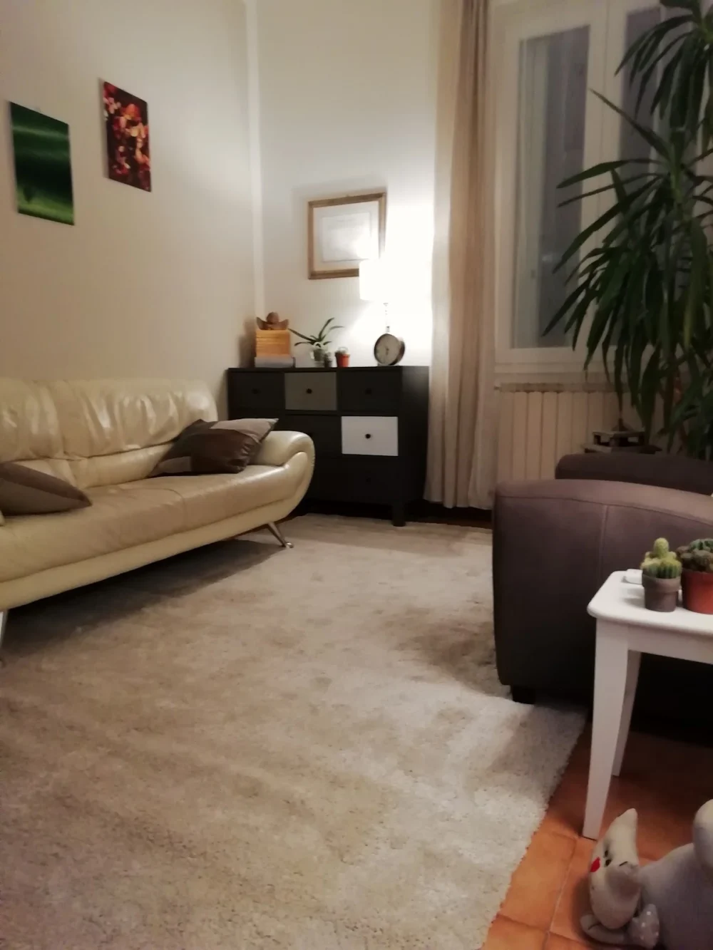 Dott.ssa Filomena Alfieri Psicologa Psicoterapeuta