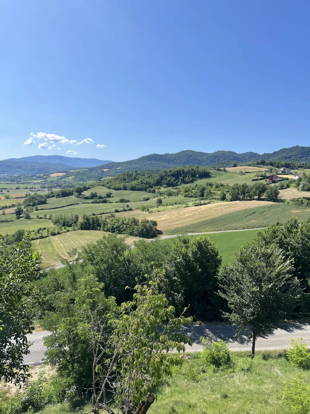 LCC - Luigi Carlo Collivasone Psicologo e Psicoterapeuta studio privato
